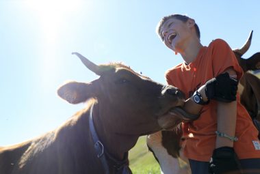 Alpage de la Vieille