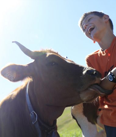 Alpage de la Vieille