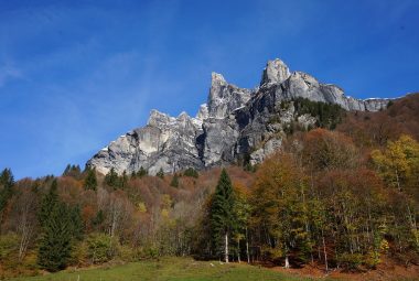 Les bons plans de l’automne