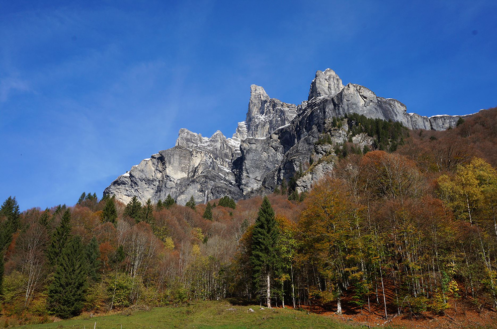 Les bons plans de l’automne