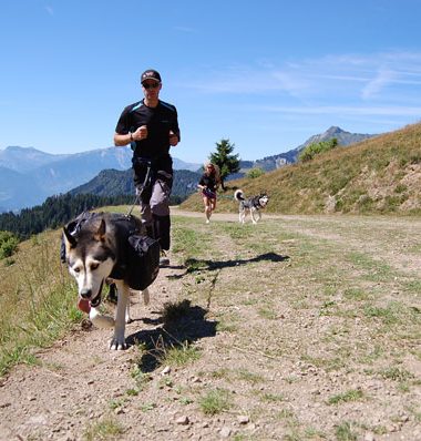 Je randonne avec mon chien