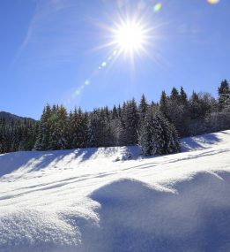 Toutes les activités hiver dans le Haut-Giffre