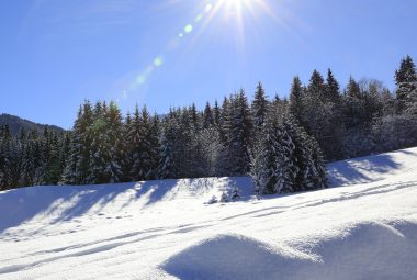 Toutes les activités hiver dans le Haut-Giffre