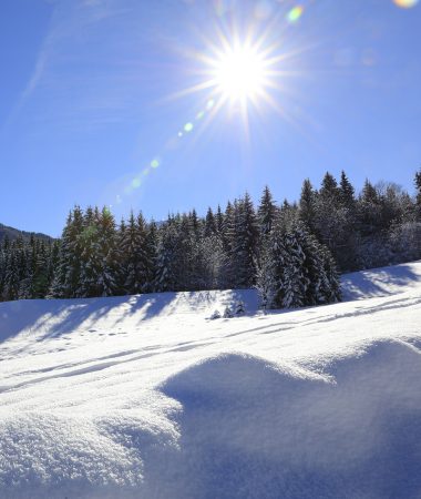 Toutes les activités hiver dans le Haut-Giffre