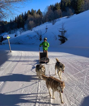 Antoine, 12 ans et  Musher d’un jour à Agy