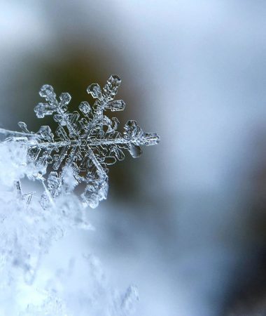 Bulletin neige