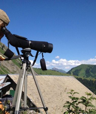 Les randonnées avec accompagnateur