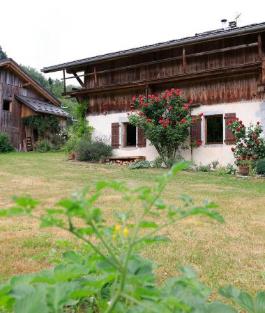 Secrets de Patrimoine, au jour le jour…