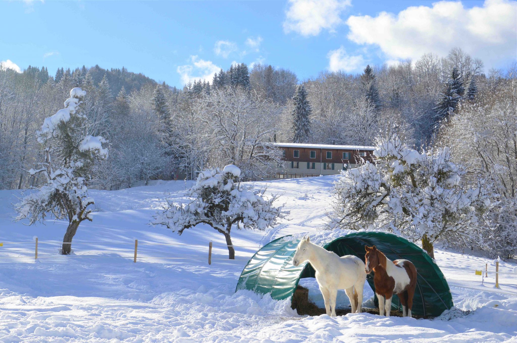 « Partir, c’est grandir ! La classe de découvertes au Chalet Béchard, c’est l’école, ailleurs »