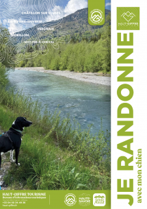 Je randonne avec mon chien