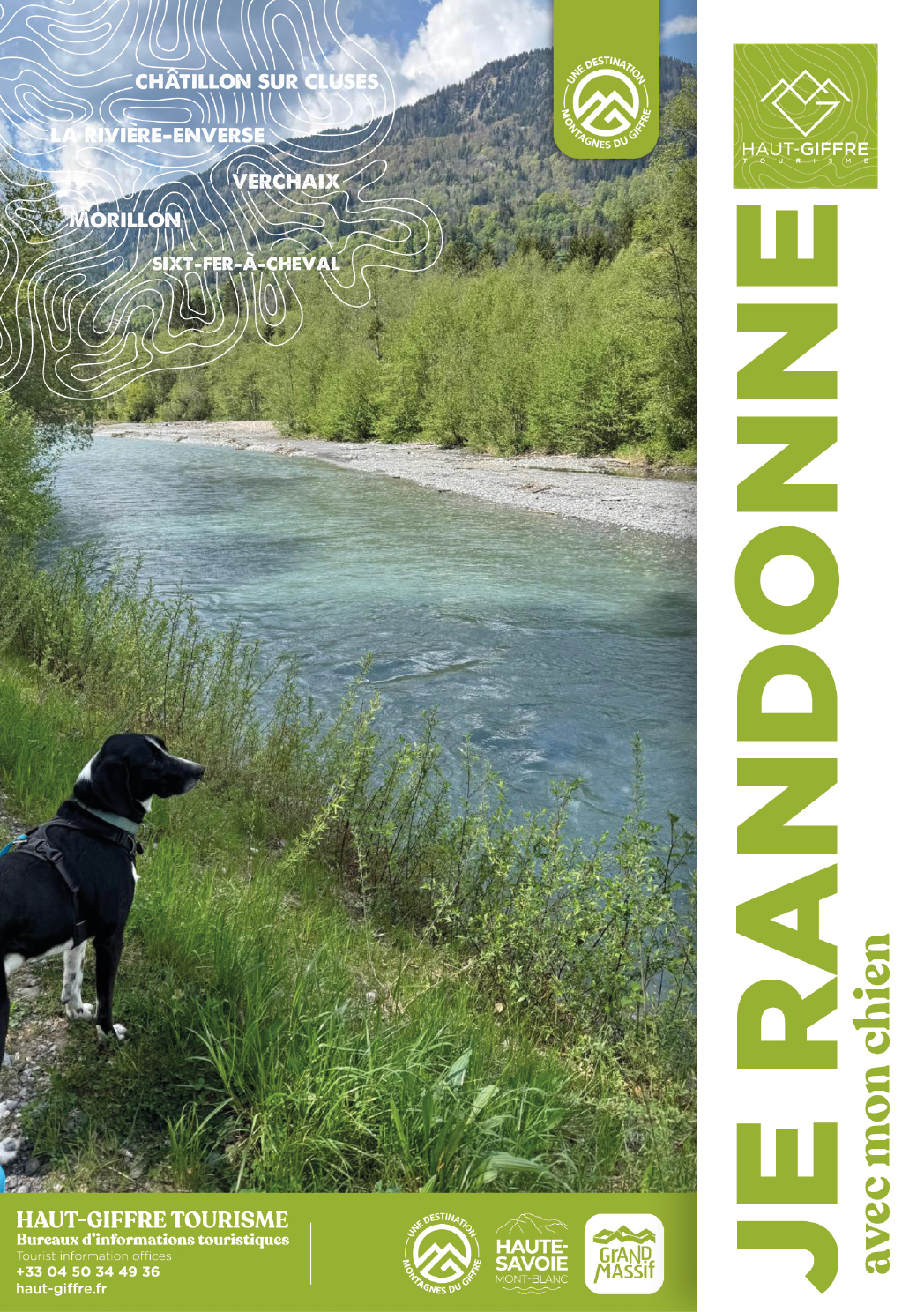 Je randonne avec mon chien
