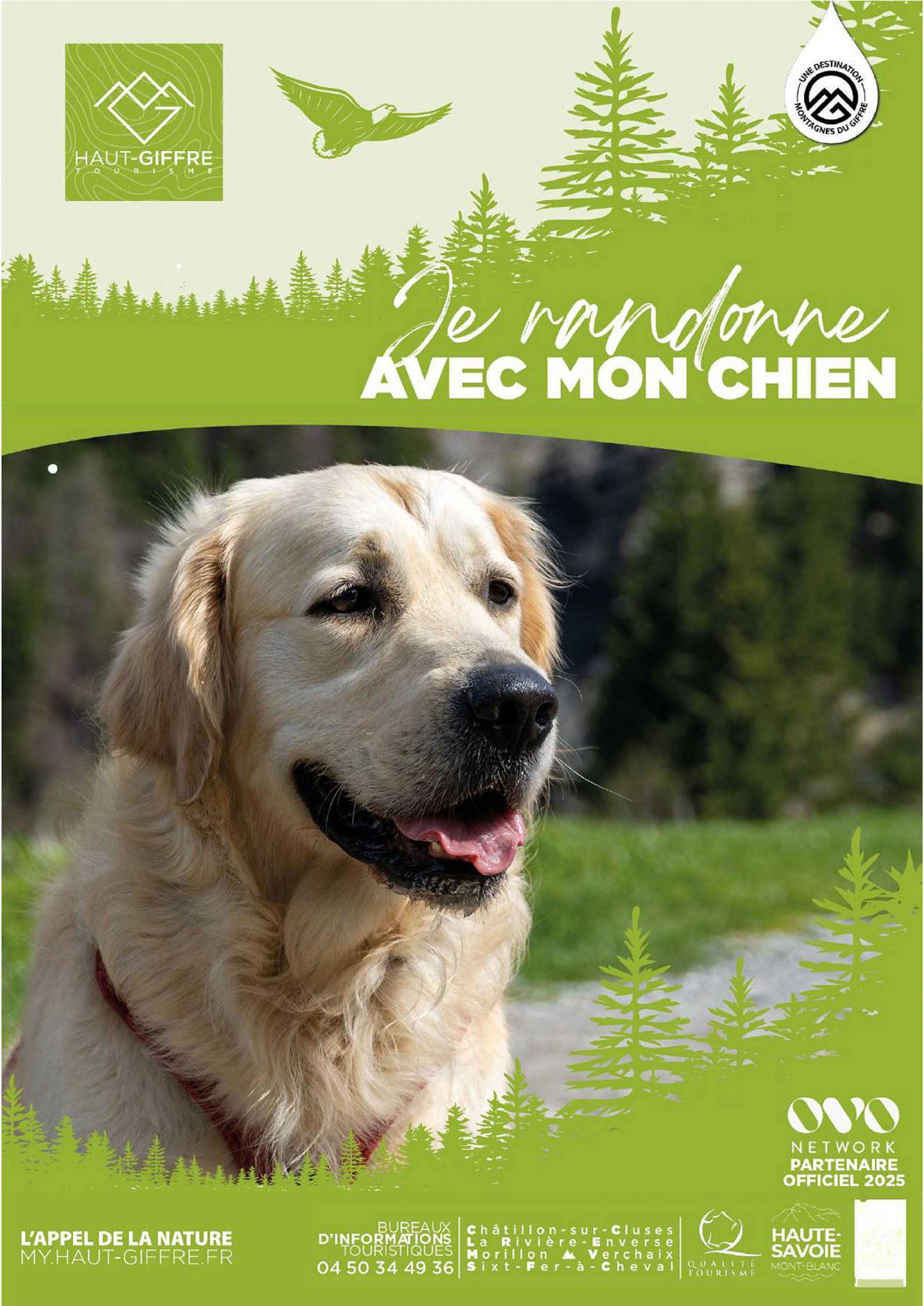 Je randonne avec mon chien