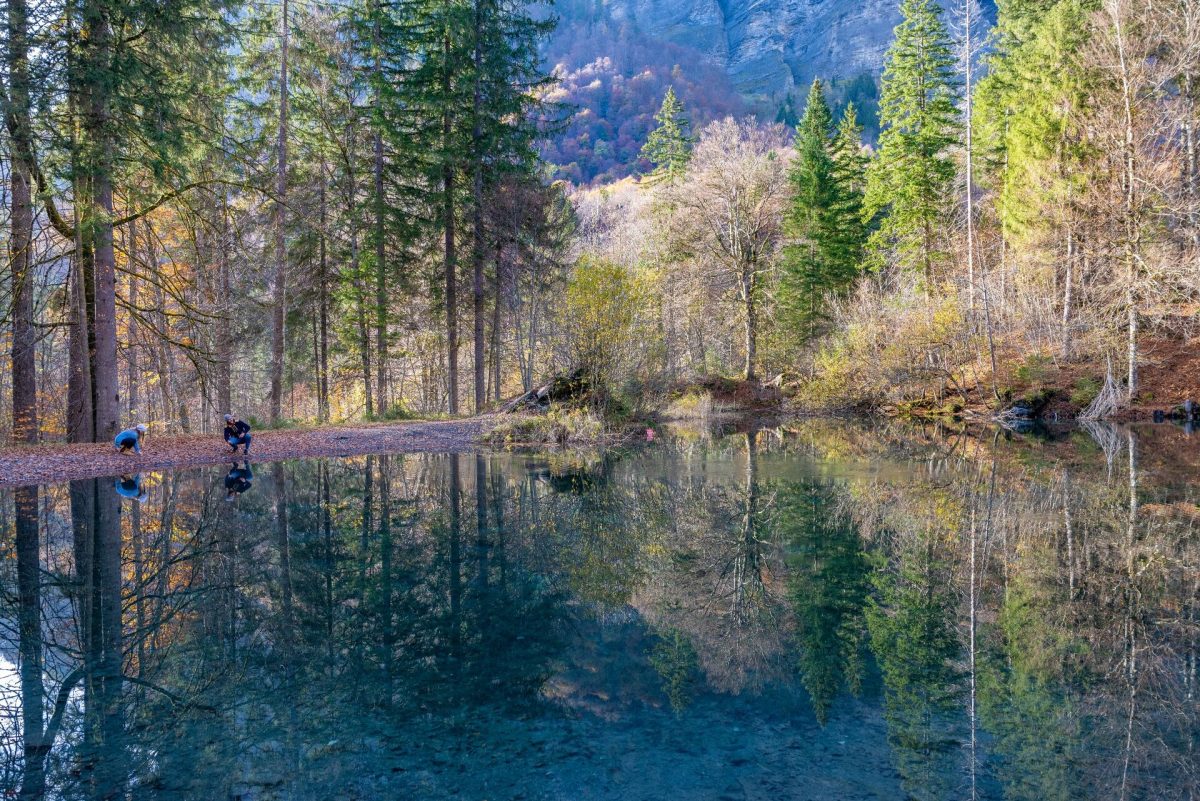 Petit lac entouré de forêt avec des reflets d’automne dans le Haut-Giffre