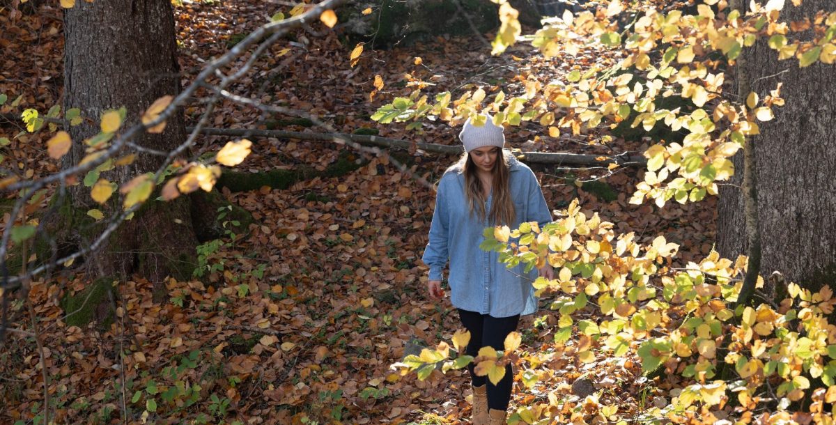 6 belles balades d’automne dans le Haut-Giffre