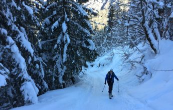 Piste de ski de randonnée : Bouquetin