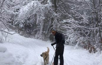 Piste de ski de randonnée : Gypaete