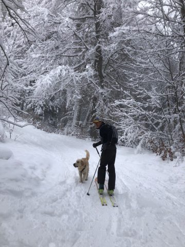 Ski de randonnée