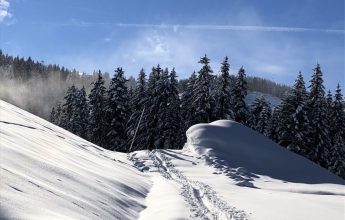 Piste de ski de randonnée : Les Cascades