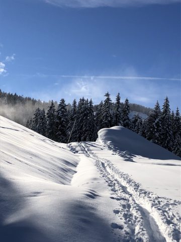 Piste de ski de randonnée : Les Cascades