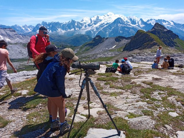 Observation de la faune