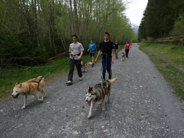 Les traîneaux de l’Ubac