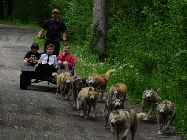 Les Traîneaux de l’Ubac