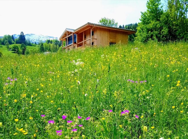 notre chalet l’Isérable en été