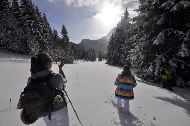 Journée pique-nique avec les chamois