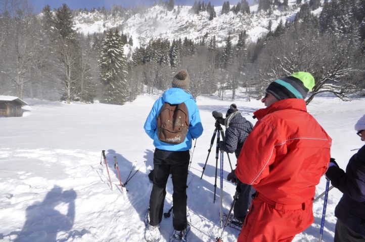 Journée pique-nique avec les chamois