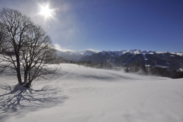 Journée pique-nique avec les chamois