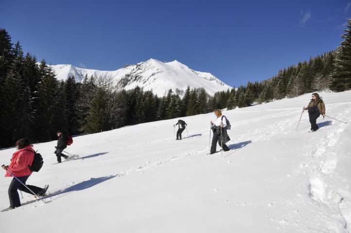 Journée pique-nique avec les chamois