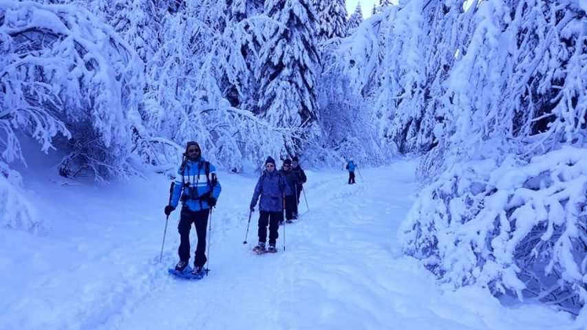 Journée pique-nique avec les chamois