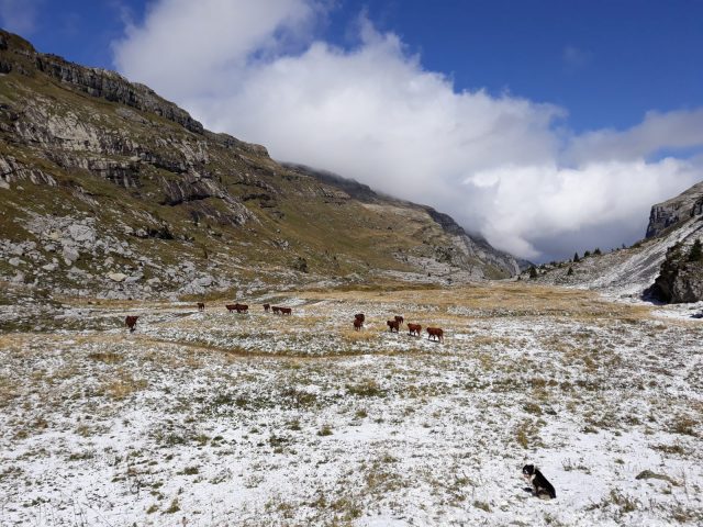 La ferme des tines