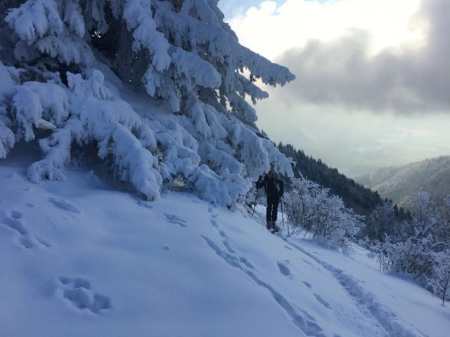 Ski de randonnée 3