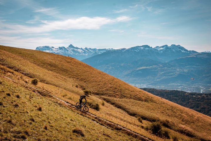 Paysage dété, alpage et montagne