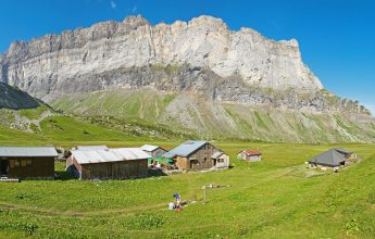 Observations et Echanges au refuge Alfred Wills