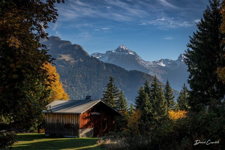 Chalet en forêt