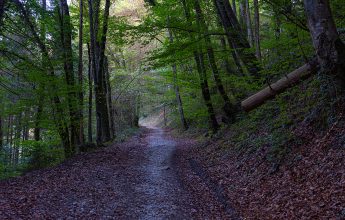 Chemin de Châtillon-sur-Cluses à Cluses