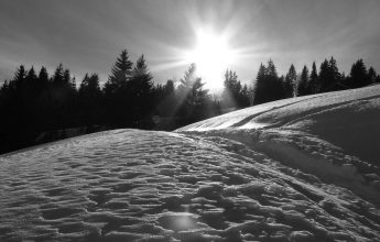 Morillon Les Esserts : Plateau de la Charniaz