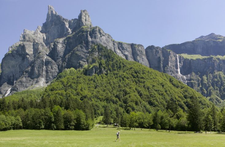 christian-martelet-cirque-fer-a-cheval-ete-le-salvagny.jpg