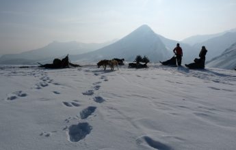 Baptême familial en chiens de traineau à Sommand