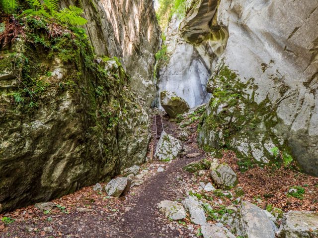 Gorges des tines