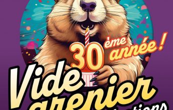 Vide Grenier & Collections
