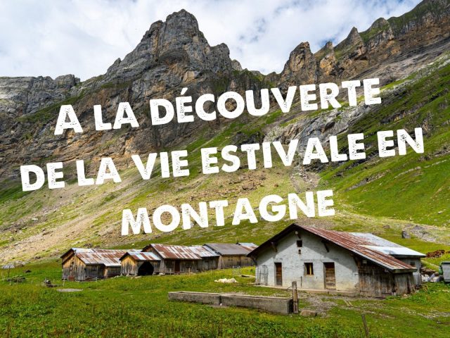 A la découverte de la vie estivale en montagne_Sixt-Fer-à-Cheval