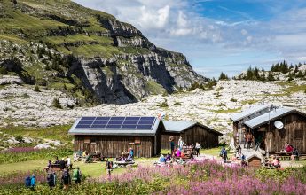 Visite guidée de l’Alpage de Sales