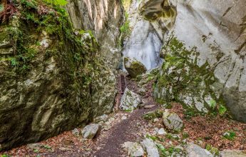 Itinéraire pédestre : rando’bus Les Gorges des Tines