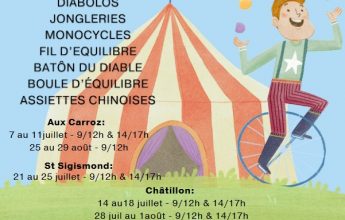 Stages de cirques