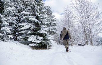 Itinéraire raquettes : Le Refuge de Golèse (non balisé)