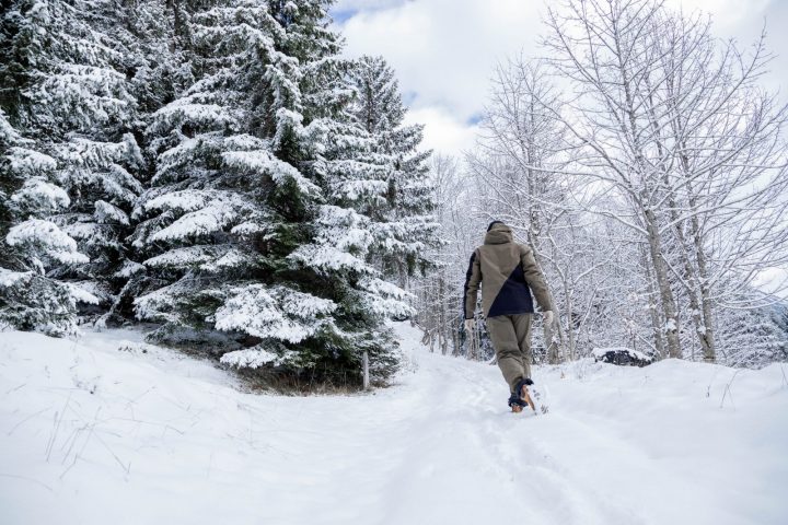 Itinéraure raquettes pédestre : Le Refuge de Golèse (non balisé)_Samoëns