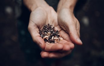La Fête des Possibles : Rituel de gratitude pour la Terre